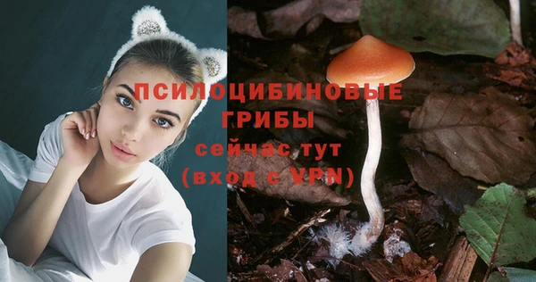 амфетамин Алексеевка