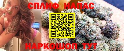 МДПВ Ливны