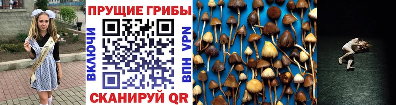 Галлюциногенные грибы GOLDEN TEACHER  Каменка 
