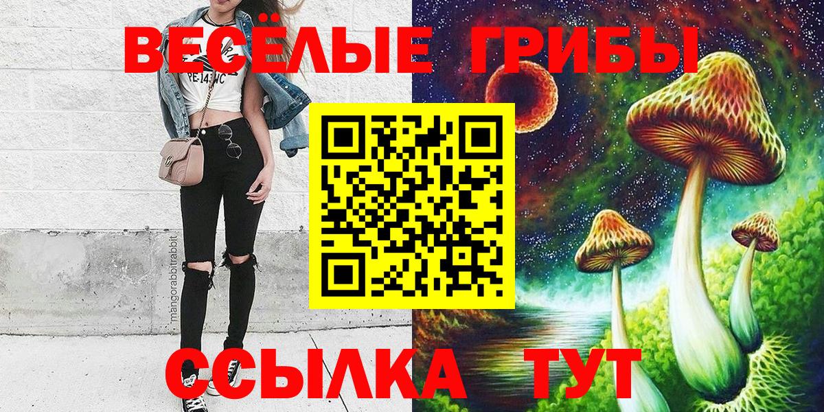 Каменка  Псилоцибиновые грибы Psilocybe  Вход с VPN 